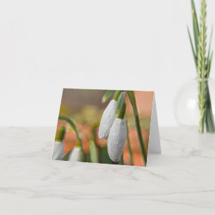 Snowdrops on Greeting Cards