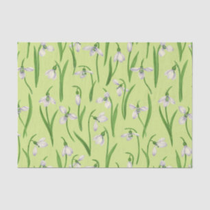 Snowdrops on honey dew tissue paper