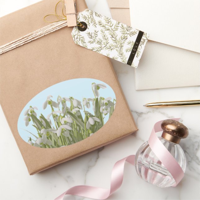 Snowdrops Oval Sticker (Gifting)