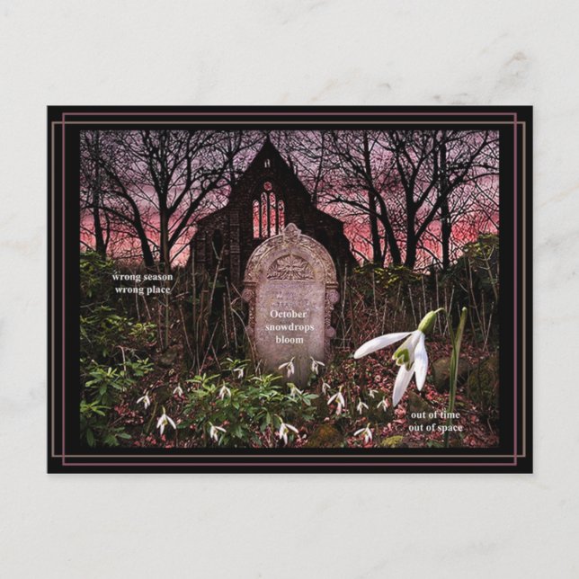 Snowdrops postcard (Front)