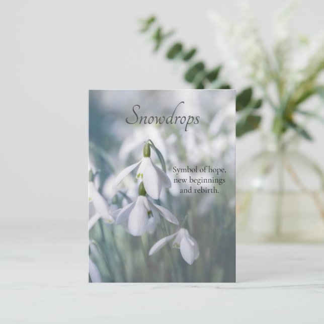 Snowdrops  postcard (Standing Front)