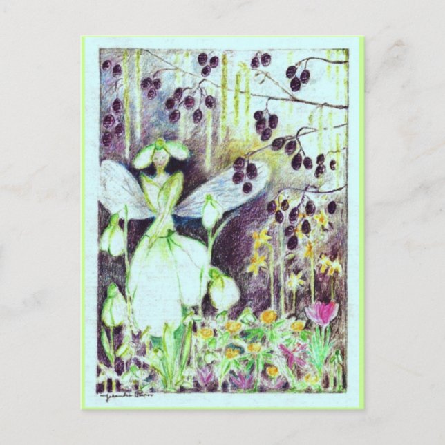 snowdrops postcard (Front)