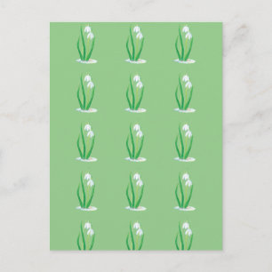 Snowdrops Postcard