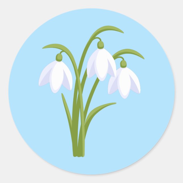 Snowdrops - Spring Flowers on Blue Classic Round Sticker (Front)