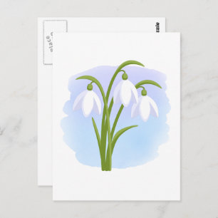 Snowdrops - Spring Flowers on Watercolor Blue Postcard
