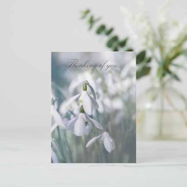 Snowdrops Thinking Of You  Postcard (Standing Front)