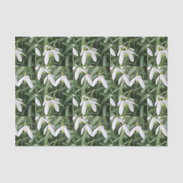 Snowdrops Tissue Paper (Front)