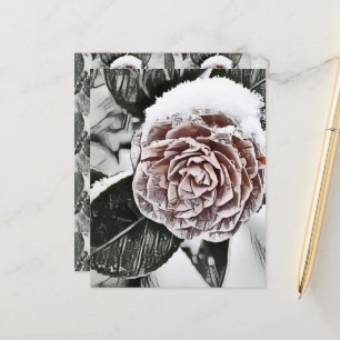 Snowed Frozen Rose Drawing