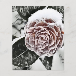 Snowed Frozen Rose Drawing Paper Sheet