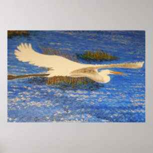 Snowey white crusin poster