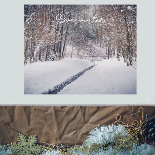 Snowfall at the park throw poster