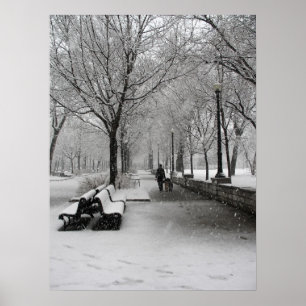 Snowfall in Montreal, Quebec Poster