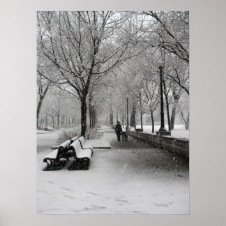 Snowfall in Montreal, Quebec Poster