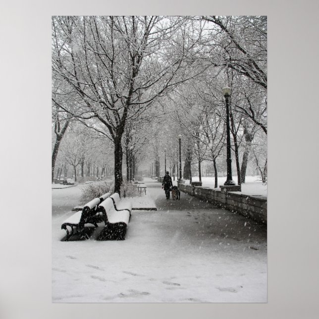 Snowfall in Montreal, Quebec Poster (Front)