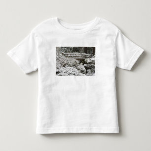 Snowfall in Portland Japanese Garden, Toddler T-Shirt