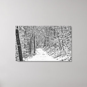 Snowfall on the Forest Trail B&W Canvas Print