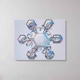 Snowflake 2 canvas print