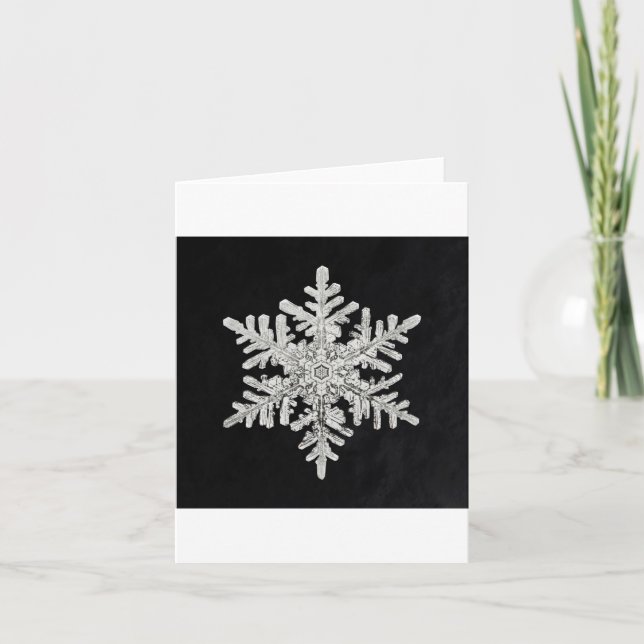 Snowflake 3 holiday card (Front)