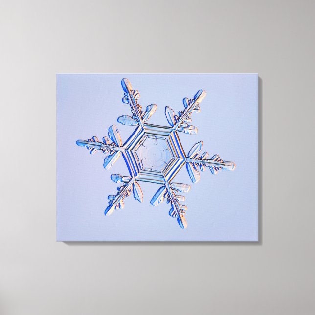 Snowflake 4 canvas print (Front)