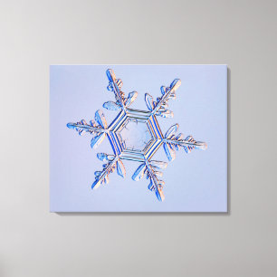Snowflake 4 canvas print