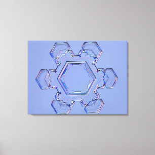 Snowflake 6 canvas print