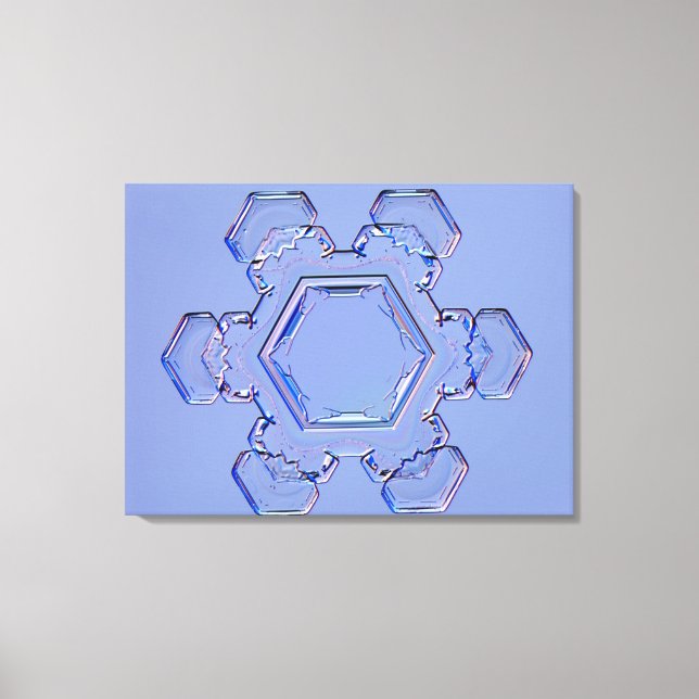 Snowflake 6 canvas print (Front)