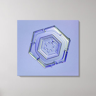 Snowflake 7 canvas print