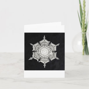 Snowflake 7 holiday card