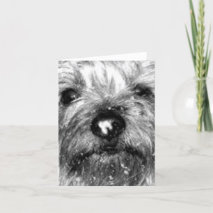 snowflake card