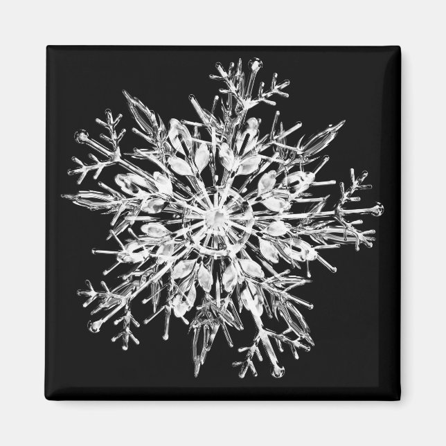 Snowflake Crystal   Magnet (Front)