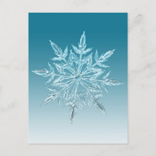 Snowflake Crystal Postcard