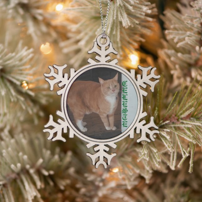 Snowflake Framed Cat Ornament (Tree)