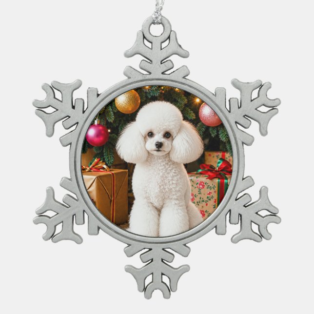 Snowflake Framed Ornament (Front)