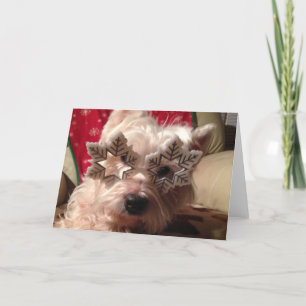 Snowflake glasses for this westie's winter holiday card