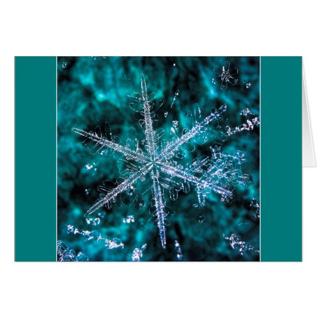 Snowflake Macro Photo add your own text Card (Front Horizontal)