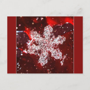 Snowflake photo postcard