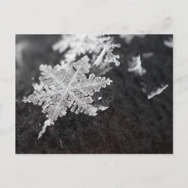 snowflake postcard (Front)