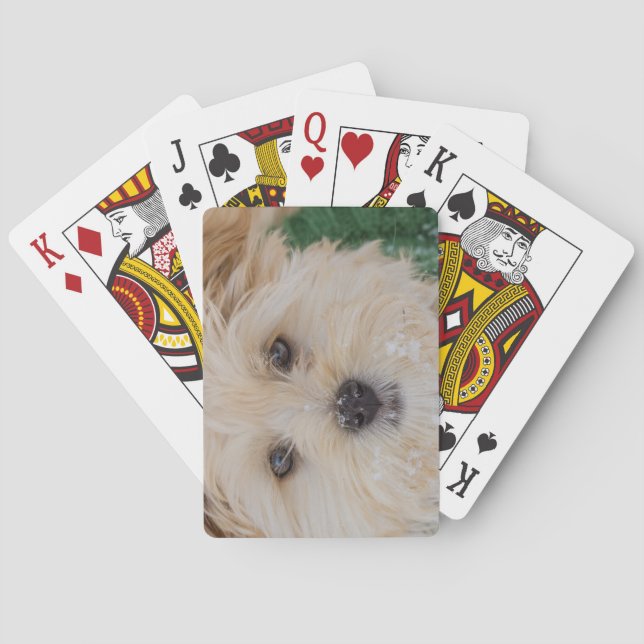 Snowflake Puppy Playing Cards (Back)