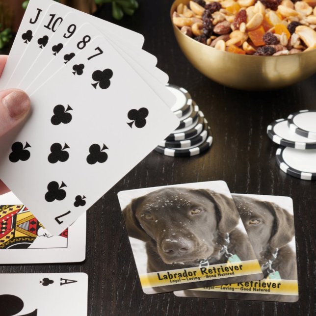 Snowflake Sprinkle Chocolate Dog Replaceable Photo Playing Cards (Creator Uploaded)