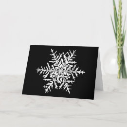 Snowflake Wilson Bentley Xmas Card
