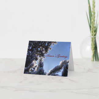 Snowflakes and Pine Tree Season's Greetings Holiday Card