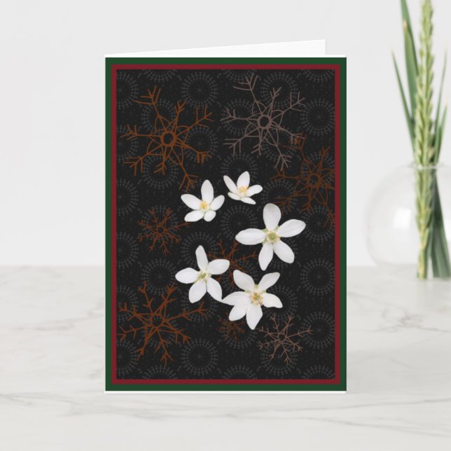 Snowflakes and white Christmas flowers Holiday Card (Front)