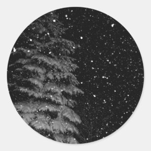 snowflakes at night  unique photograph classic round sticker