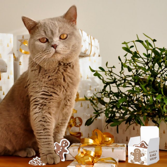 Snowflakes & Gingerbread Cookie Holiday Christmas  Favour Box (Creator Uploaded)