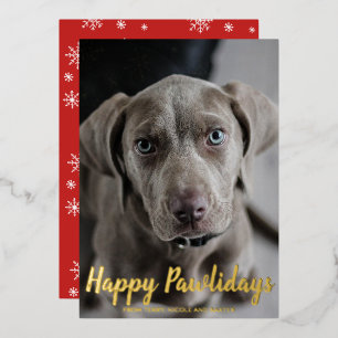 Snowflakes Happy Pawlidays Dog Photo Christmas