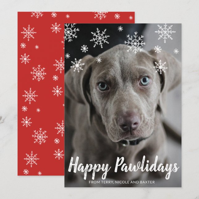 Snowflakes Happy Pawlidays Photo Dog Christmas Holiday Card (Front/Back)