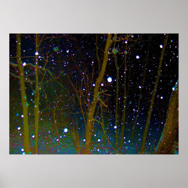 Snowflakes in the  Woods Poster (Front)