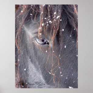 Snowflakes on Fell Pony Poster