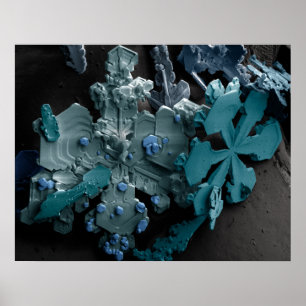 Snowflakes Poster