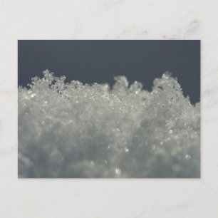 Snowflakes Up Close Postcard